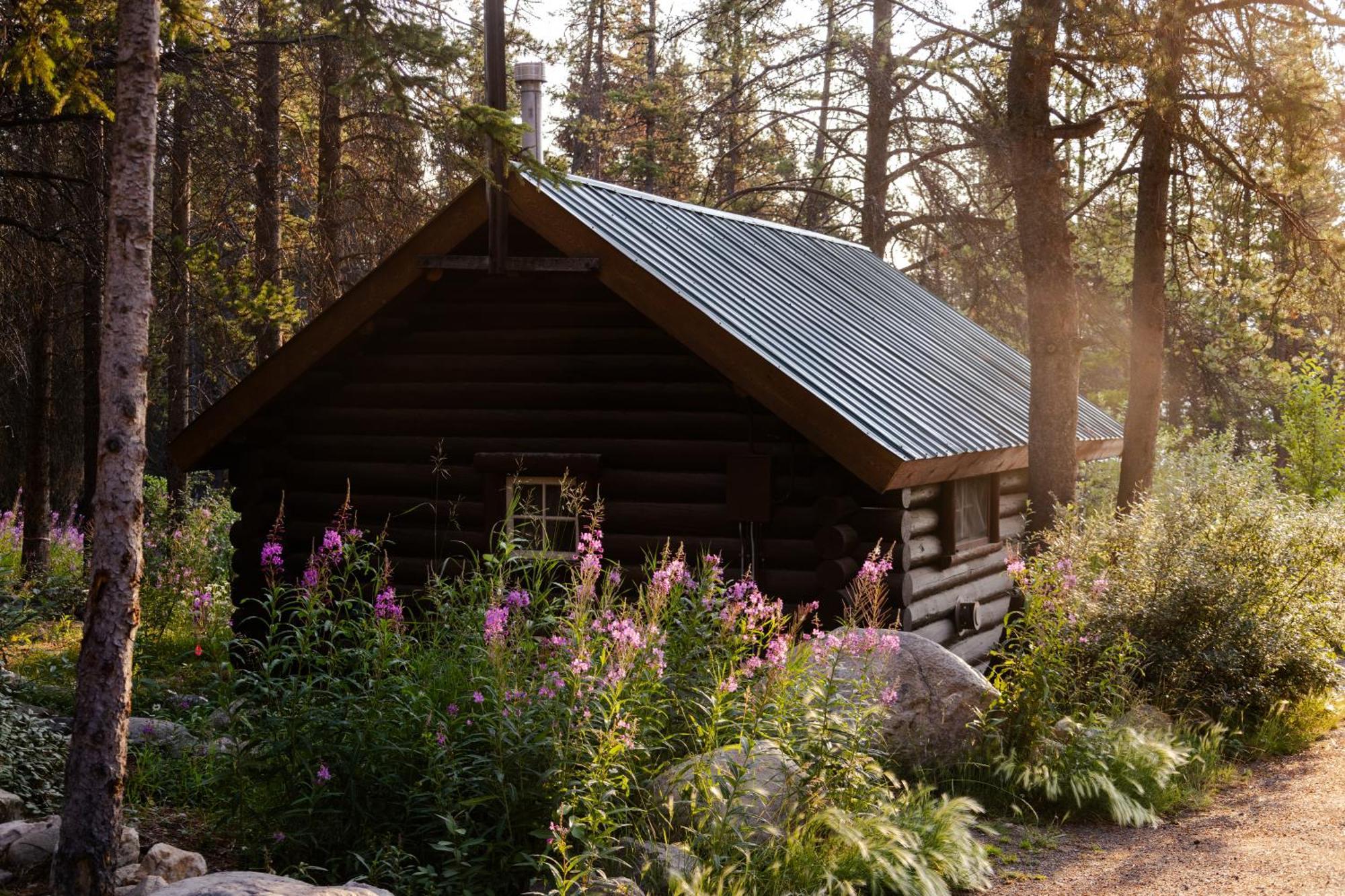Storm Mountain Lodge & Cabins Castle Junction Exterior photo